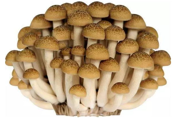 圖片關鍵詞 http://www.pc-weixiu.com/ewebeditor/uploadfile/20170914091421667001.png