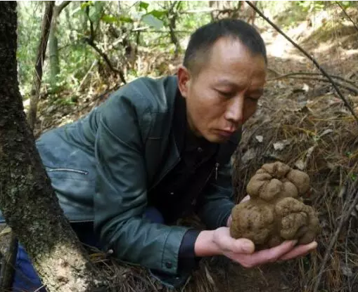 圖片關鍵詞 圖片關鍵詞