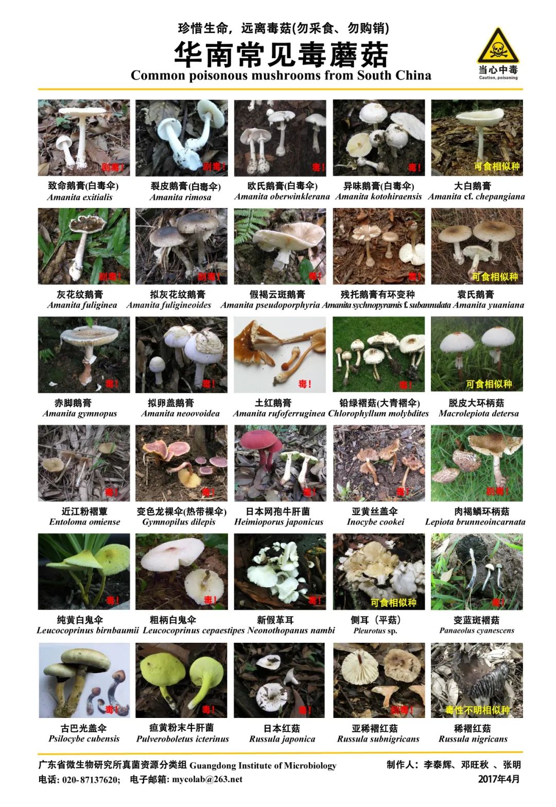 圖片關鍵詞 https://mmbiz.qpic.cn/mmbiz_jpg/OnRbAd1HL447AVvicLf3JHEJun5lHxh0yMtiaDXs3ckfMXOD4bZBVwOwQUibX7ibKGANtqjy1WhfJic1vBIoNdAC9SA/640?wx_fmt=jpeg