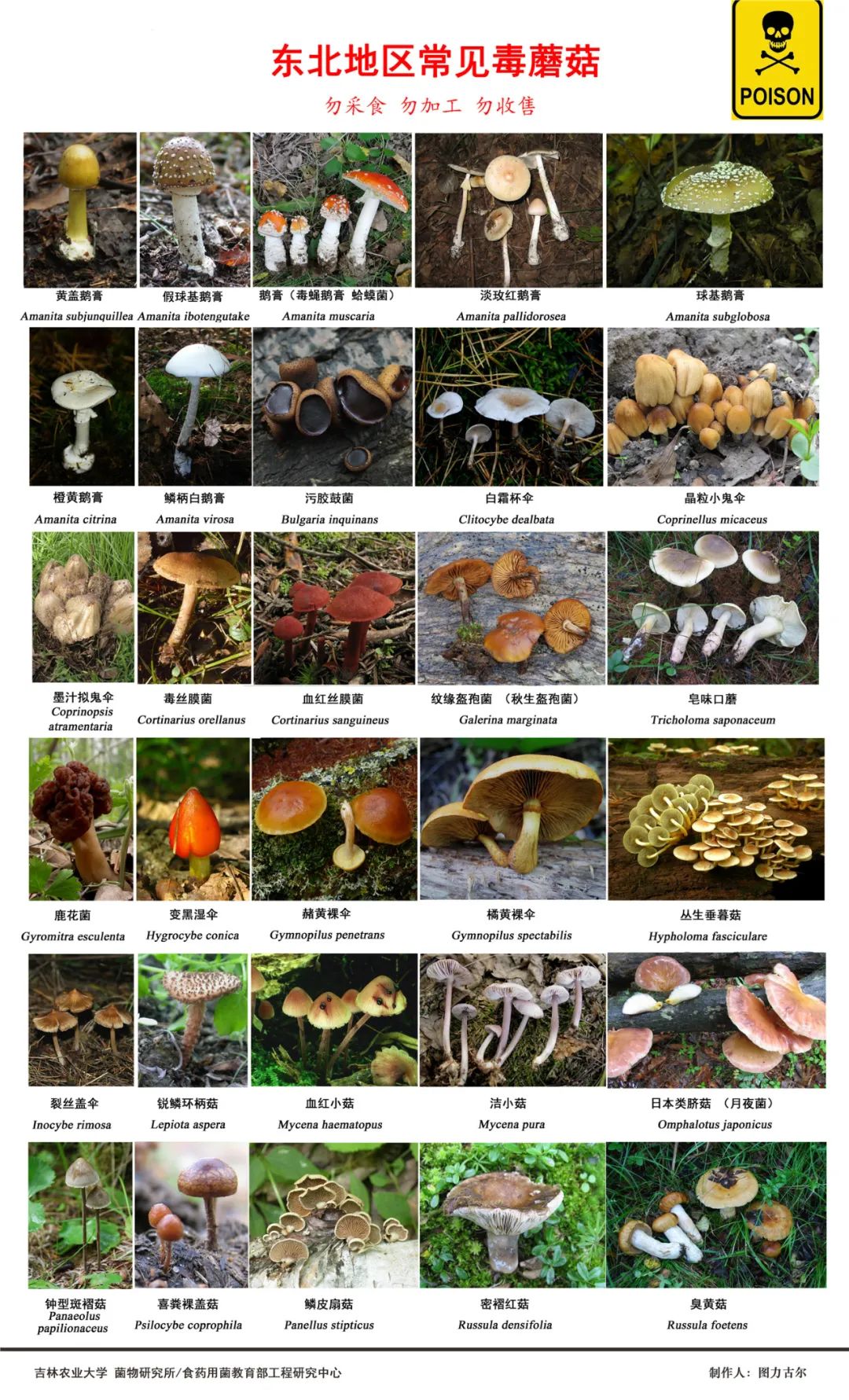 圖片關鍵詞 https://mmbiz.qpic.cn/mmbiz_jpg/OnRbAd1HL447AVvicLf3JHEJun5lHxh0yy1fyhBkibUCmRdb5U1NkhT5rKPMvk8eXXlVUUGLNX113n5NZcZ6Adtg/640?wx_fmt=jpeg