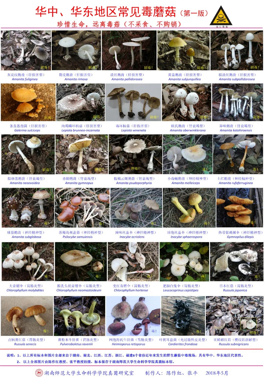 圖片關鍵詞 https://mmbiz.qpic.cn/mmbiz_jpg/OnRbAd1HL447AVvicLf3JHEJun5lHxh0yC4kE67Ihrdo4RkDbP0bPt7HQQU2Yict05lU3aCmHbcaH4nIsKWB3a3Q/640?wx_fmt=jpeg