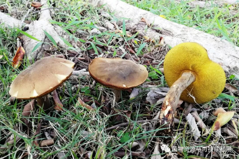 圖片關鍵詞