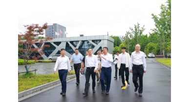 專題報(bào)道